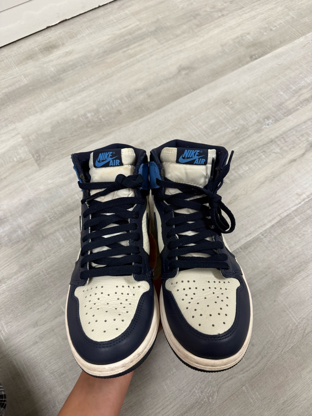 Nike Obsidian Jordan 1 Dunks